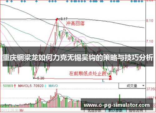 重庆铜梁龙如何力克无锡吴钩的策略与技巧分析