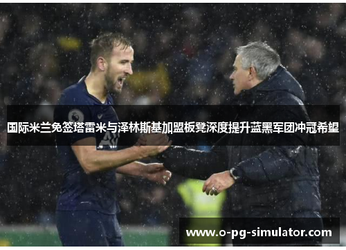 国际米兰免签塔雷米与泽林斯基加盟板凳深度提升蓝黑军团冲冠希望