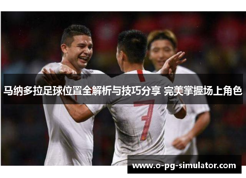 马纳多拉足球位置全解析与技巧分享 完美掌握场上角色