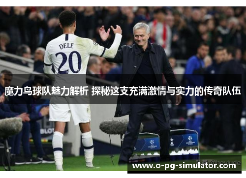魔力鸟球队魅力解析 探秘这支充满激情与实力的传奇队伍